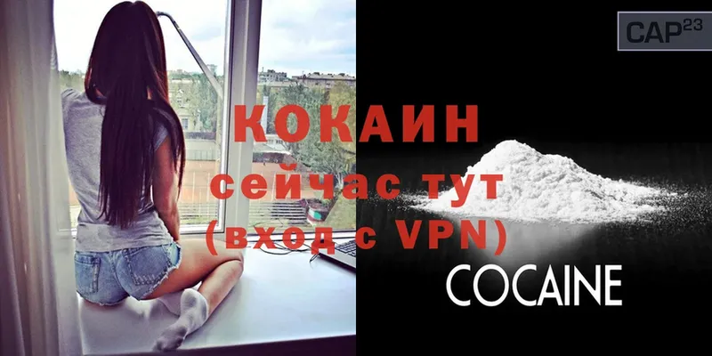 купить   Канаш  COCAIN Fish Scale 